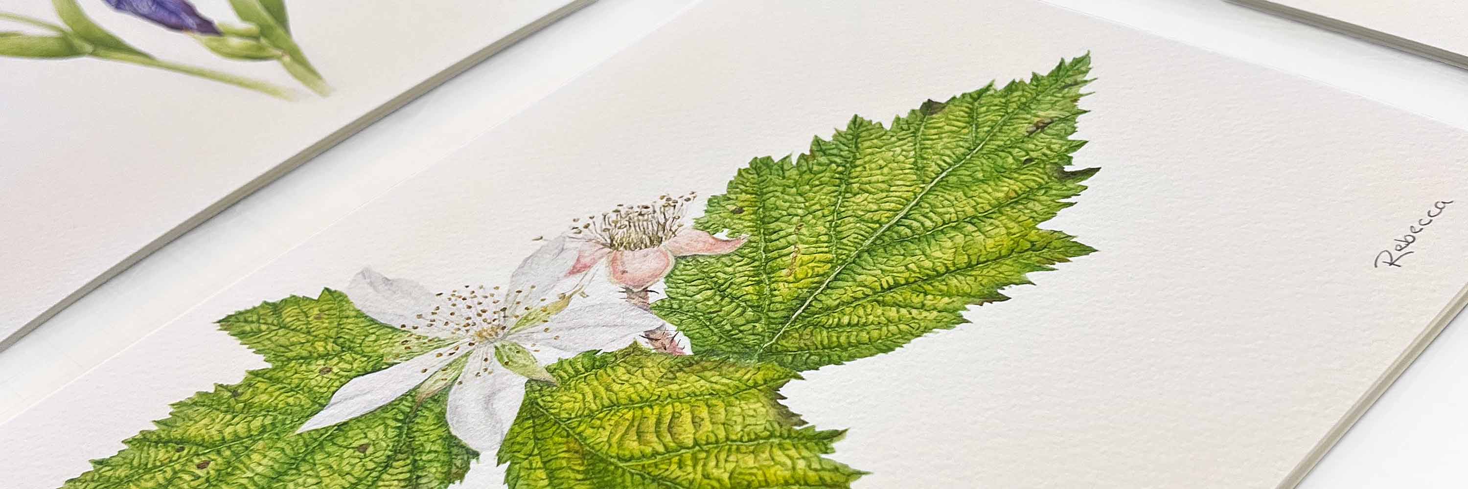 Rebecca Botelho Artist Exhibition Prints