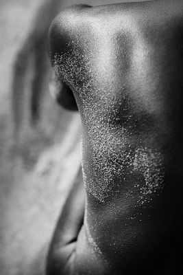 emy 7 emilymerrillphoto emy 7 emilymerrillphoto