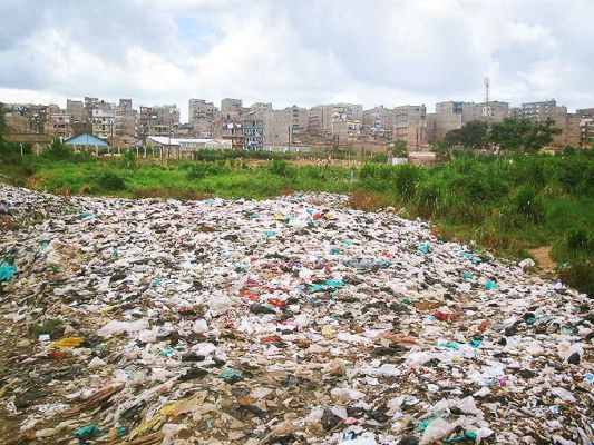 2 garbage no plant