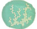 haw 11 2013 bubblesvx10