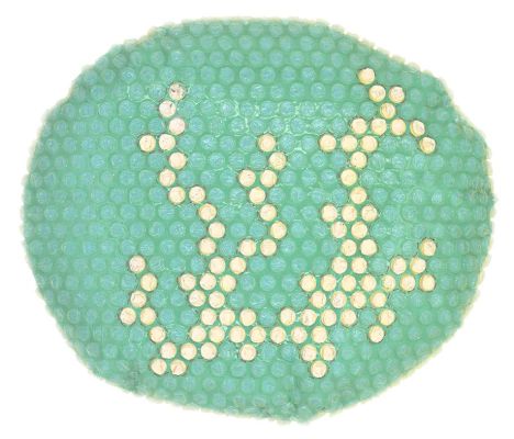 haw 11 2013 bubblesvx10