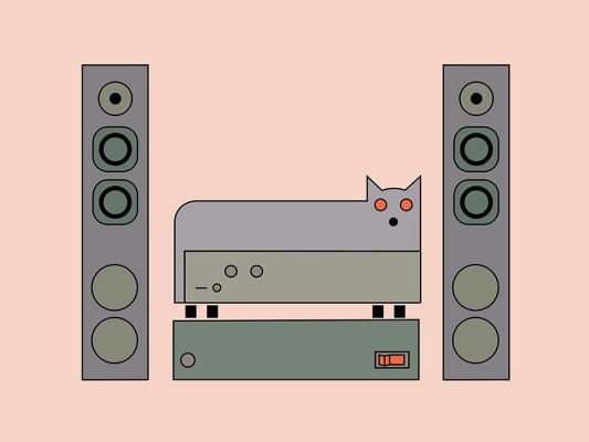 cat bed stereo r5 v3 cat bed stereo r5 v3