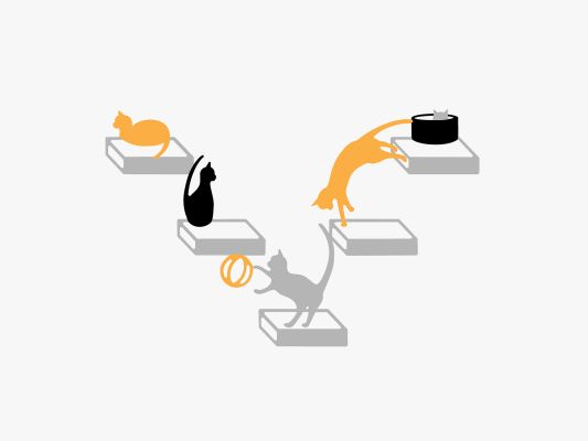 cats play multi cats play multi
