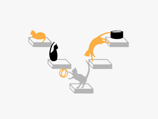 cats play multi cats play multi