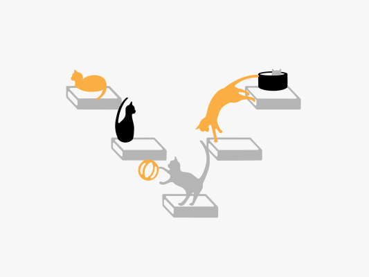 cats play multi cats play multi